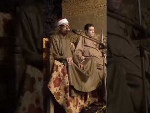 الشيخ سيد عاطف المنياوي 2