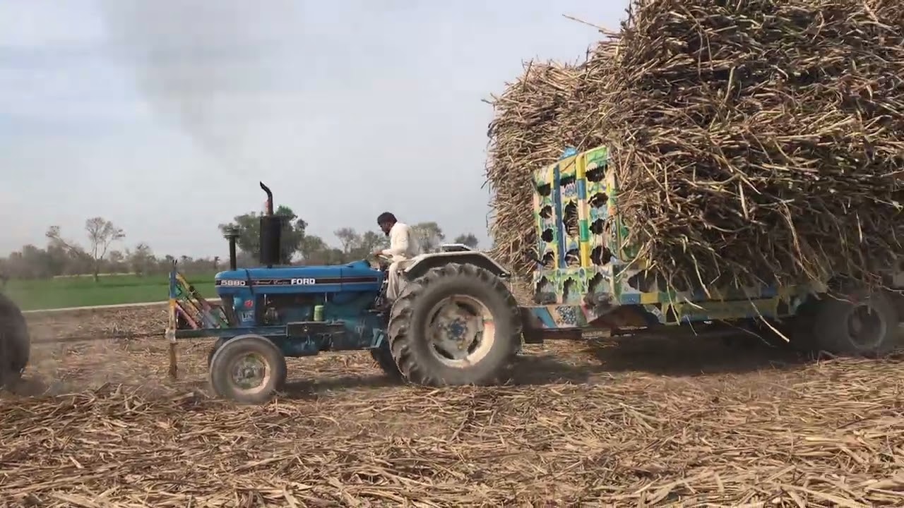Ford 5880 On Sugarcane Loaded Trolley...