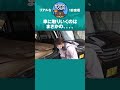 こんなに車に積んでる人見たことない　#shorts