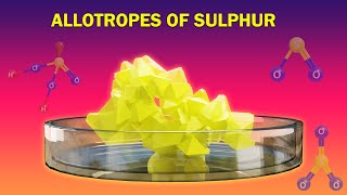 Allotropes &amp; Reactions of Sulphur | P Block Elements | Chemistry Telugu | Class 12 | Ncert
