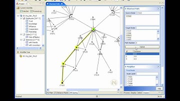 Social Network Analysis Software -  NetMiner : 3.5.1 Shortest Path
