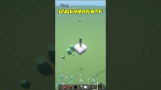ENDERMAN WTF⁉️⁉️⁉️#minecraft #shorts