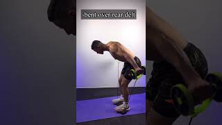 Full body workout at home with revoflex xtreme