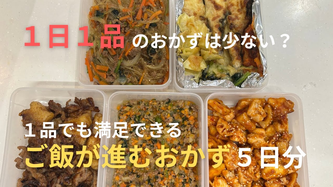 【平日５日間の作り置きおかず】１日１品でも満足できるおかずを作る