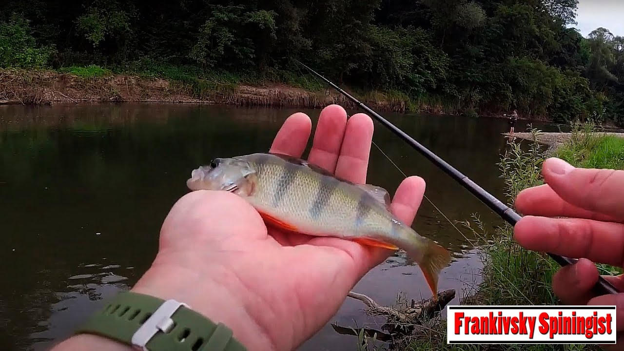 Риболовля на р. Бистриця в вересні.