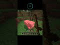 Day 4 of trying to beat Minecraft with 20 seconds #muichirotokito