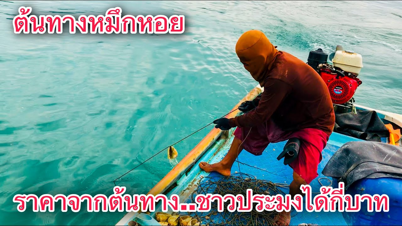 Binary options Sri Lanka: Forex เริ่ม ต้น กี่ บาท forex เริ่ม ต้น กี่ บาท