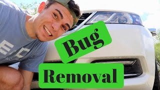 Bug Removal Simplified: How to remove bugs from your car's paint