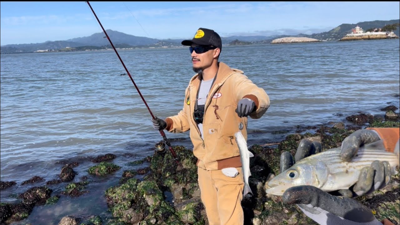 Striped Bass Fishing Bay Area Slow Day YouTube