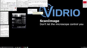 ScanImage Scanner Waveform Optimization