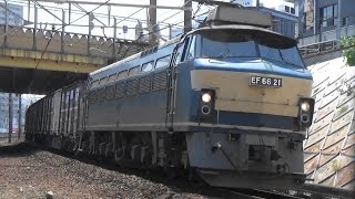 【汽笛あり!】ゼロロク EF66-21号機牽引 5091レ貨物列車 金山駅通過 2016.05.22