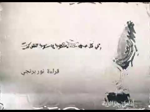 في كل محنة منحة فيديو تحفيزي قراءة نور برنجي