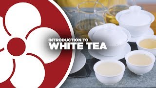 What is WHITE TEA?