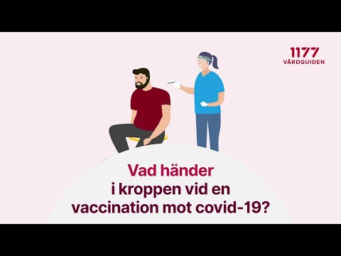 Vad händer i kroppen vid vaccination mot covid-19?