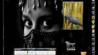 Linux ubuntu 8.0.4 Hardy + compiz fusion