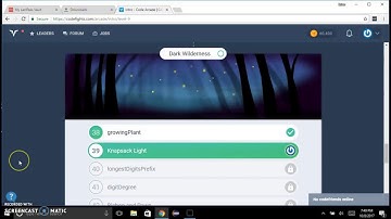 Brian CodeFights Arcade - Knapsack Light 39