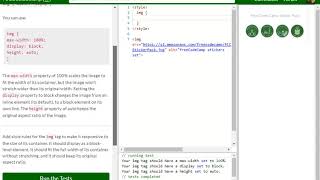Responsive Web Design Principles Make an Image Responsive free code camp   Dani