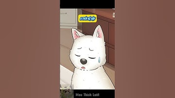 Cún Con Muốn Có Em #pets #dongvat #funny #animals  #food #haihuoc #shortvideo #shortsvideo #cute