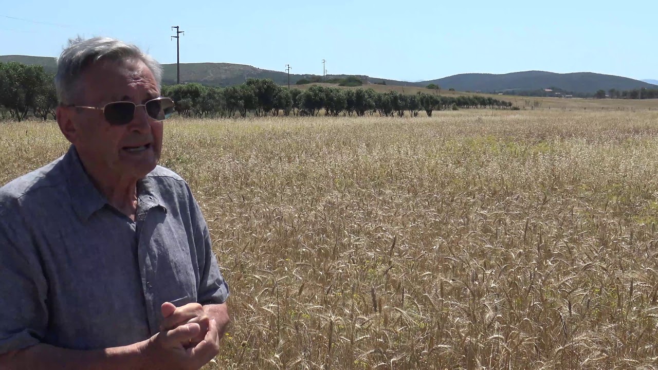 Calasetta -Sardegna - Progetto Solibam