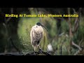 Birding At Tomato Lake in Western Australia
