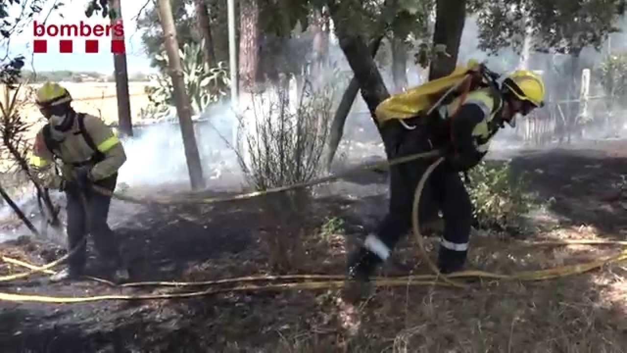 Incendi forestal a Cardedeu (Vallès Orientall)