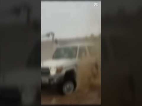 ربع ابن الساتر ما طخ راس مطنوخ ابلور 