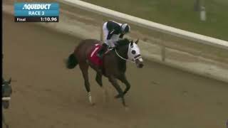 Aqueduct races summary December 12/20