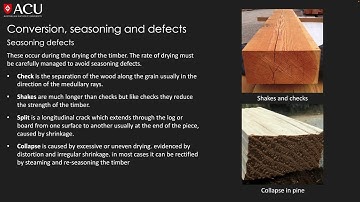 Defects in timber
