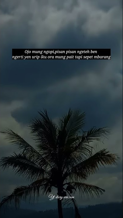 story wa dj//lir ilir