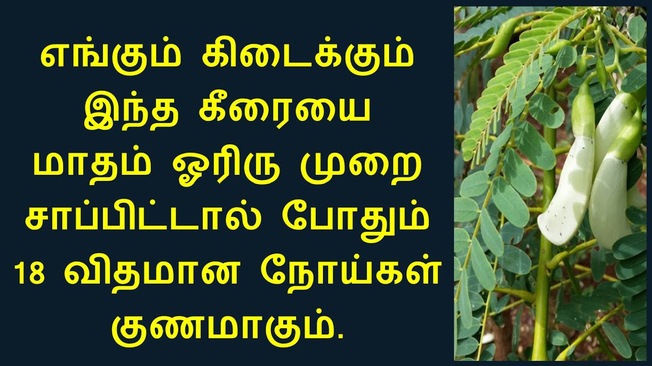 Agathi keerai
