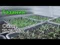 Газания. Обзор 19.12.2022 год.