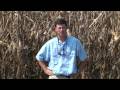 Part 1 - Corn populations and row configurations