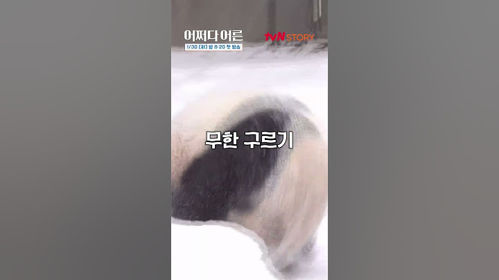 눈덩이+푸바오=행복💕눈와서 신난 #푸바오 #어쩌다어른 (1/30[화]저녁8:20첫방송) #어쩌다어른
