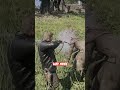RDR2 - Hidden Combat Detail You Missed 😨  #rdr2