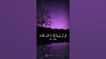 سورة التوبة الآية ٥١ - القارئ اسلام صبحي