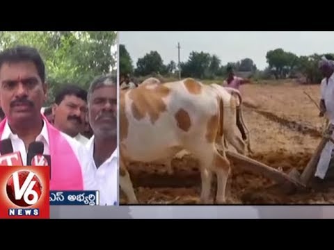 TRS MLA Marri Janardhan Reddy Election Campaign In Nagar Kurnool Constituency | V6 News