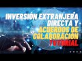 INVERSIÓN EXTRANJERA DIRECTA y ACUERDOS de COLABORACIÓN  ▶ Tutorial ✅