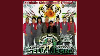 Video thumbnail of "Selva Negra - El Oso Polar"