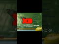 Ahora Federico exe y Randy Cunningham Ninja Total exe vs. Creepypasta's Disney xd