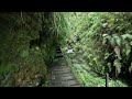 Canyoning Madeira Island - Ribeira do Inferno (Inf.)