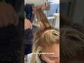 Franco & Co blow dry brush