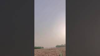 Tu has k ballu ye jan dil ya k drad badh gyel #viral #trending #todyshort#song