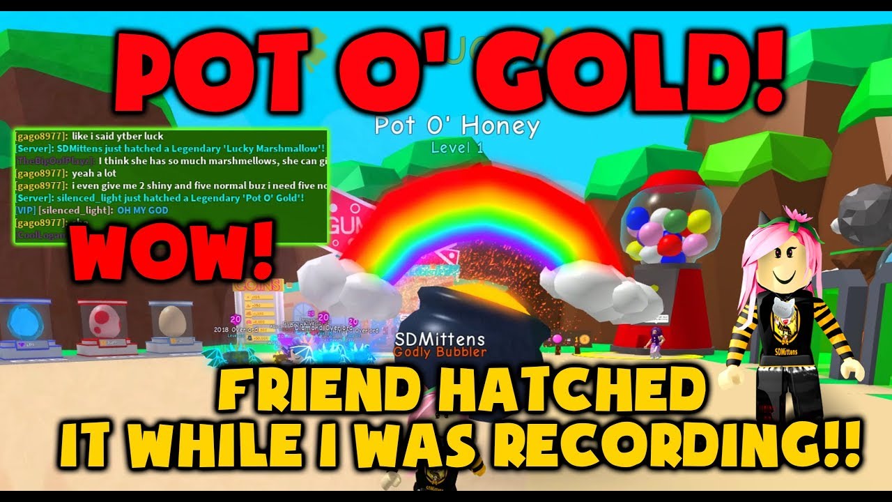 Pot O Gold Hatched In Game Bubble Gum Simulator Youtube - pot o gold roblox