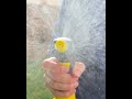 Das ist kein ASMR, das ist echter Gartensound!