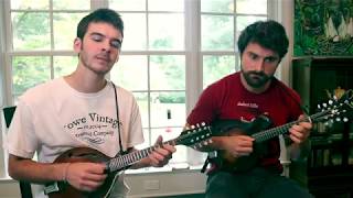 Telemann TWV 40:103 Allegro - Robert Thornhill & Simon Dunson - Classical Mandolin Duo