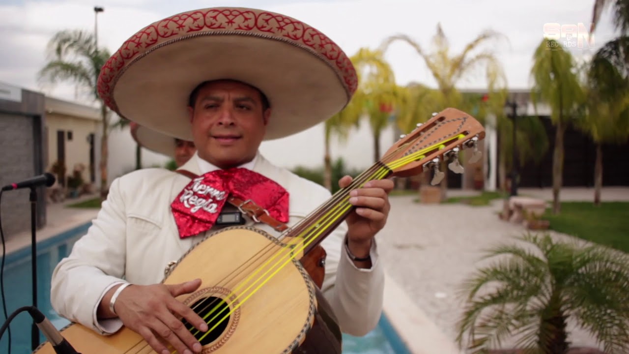 Mariachi Tierra Regia  Amorcito Corazón (en vivo)