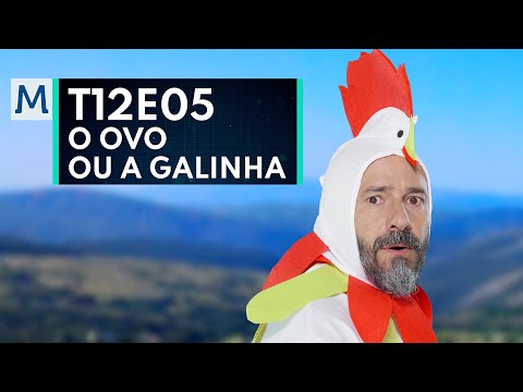 Quem nasceu primeiro: o ovo ou a galinha? Hmmm... ambos. #istoematematica
