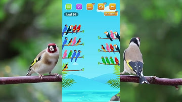 bird sort color puzzle game level 50 😂😂😂