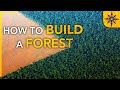 How to Build a Forest