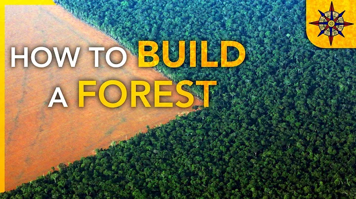 How to Build a Forest - DayDayNews
